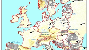 Aktuelle Wolfsverbreitung in Europa“ und dem Textzusatz/der Legende: Dunkelgraue Felder = permanentes Vorkommen, hellgraue Felder = sporadisches Vorkommen, Blaue Schrift = Angabe der jeweiligen Teilpopulation