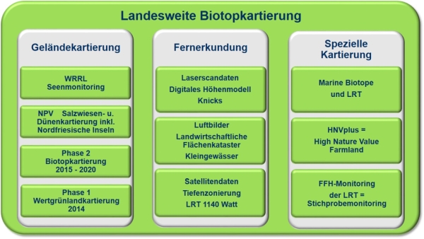 Abb. 1: Bausteine der landesweiten Biotopkartierung 2014 bis 2020