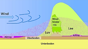 Abbildung 3: Winderosion, Vorgang