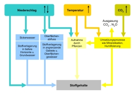 Potentielle Wirkungen des Klimawandels auf den Stoffhaushalt 