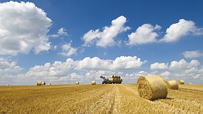 Feld nach der Ernte