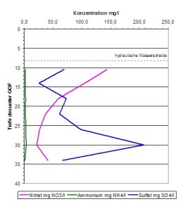 Tiefenprofil mit Nitrat-, Ammonium- und Sulfatkonzentrationen im Boden