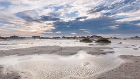 Dünenlandschaft auf Amrum