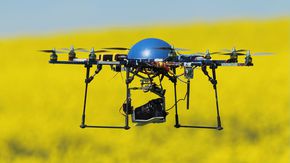 Ein unbemanntes Flugsystem, eine sogenannte Drohne, fliegt über einem gelbblühenden Rapsfeld