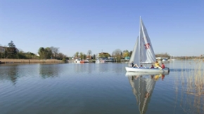 Einmaster-Segelboot auf dem Wasser, im Hintergrund ein Sportboothafen