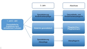 Eine Grafik zeigt den Verlauf der Pflege-Ausbildung nach der Reform