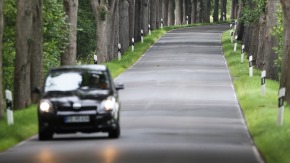 Ein Auto fährt durch eine Allee.