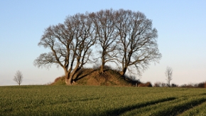 Bronzezeitlicher Grabhügel bei Kahlebygaard, Kreis Schleswig-Flensburg