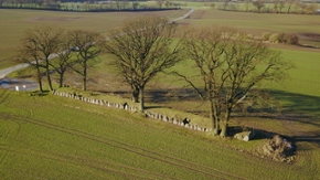 Das rekonstruierte Langbett von Karlsminde