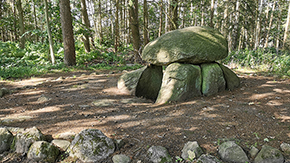 Das Megalithgrab von Langholz