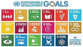Die 17 Nachhaltigkeitsziele der UN.