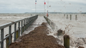 Hochwasser an der Strandpromenade Travemünde bei Lübeck mit angespülten Algen.