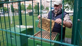 Der Imker präsentiert ein Rähmchen mit Bienen und Honigwaben aus einem der Bienenstöcke vor dem Umweltministerium.