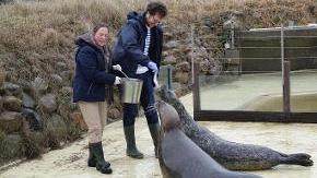 Minister Albrecht mit Stationsleiterin Tanja Rosenberger bei der Fütterung der Seehunde.