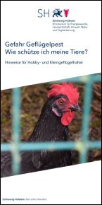 Titelbild "Gefahr Geflügelpest - Wie schütze ich meine Tiere?"