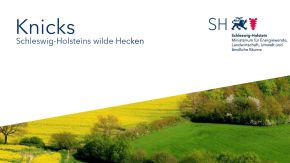 Titelbild der Broschüre "Knicks - Schleswig-Holsteins wilde Hecken"