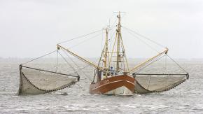 Ein Boot lässt zwei Fischnetze ins Meer.