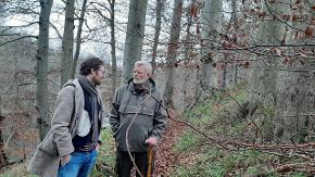 Zwei Männer stehen im Wald