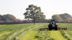 Ein Traktor wendet Heu auf einem Feld.