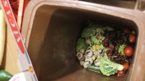 Eine Mülltonne voller welkem Gemüse ist zu sehen