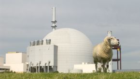 Ein Schaf vor dem AKW Brokdorf