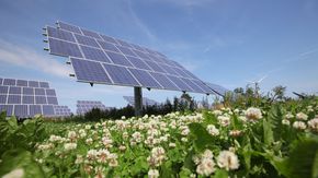 Zwei Solarpanels auf einer Wiese