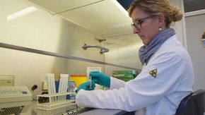 Eine Frau in einem Laborkittel steckt ein Wattestäbchen in ein Glasgefäß.