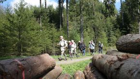 Eine Gruppe Wanderer in einem Wald