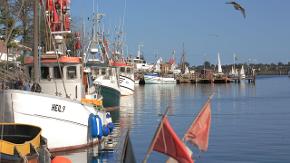 Mehrere Fischerboote liegen an einem Bootsanleger