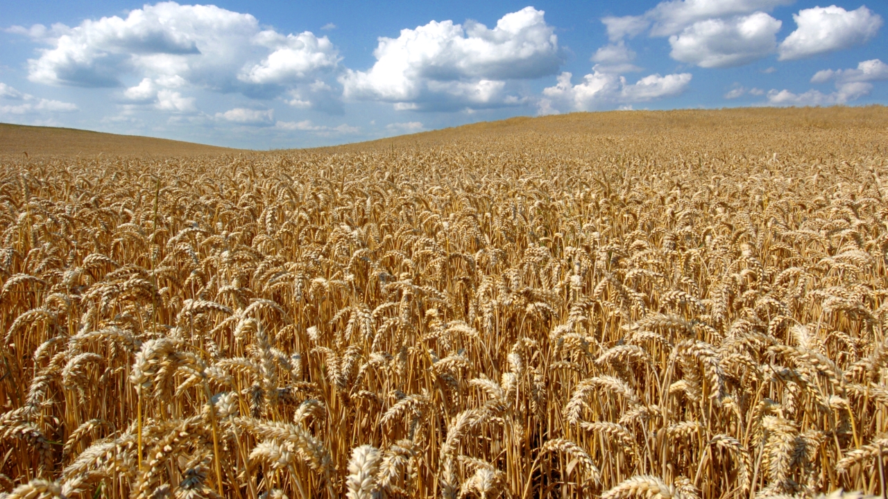 schleswig-holstein.de - Ministerium für Energiewende, Klimaschutz schleswig-holstein.de - Ministerium für Energiewende, Klimaschutz