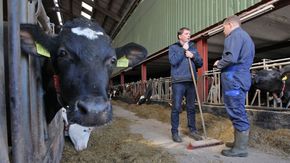 Zwei Landwirte unterhalten sich in einem Kuhstall