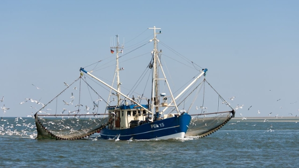 Ein Fischkutter auf hoher See, von Möwen umschwirrt