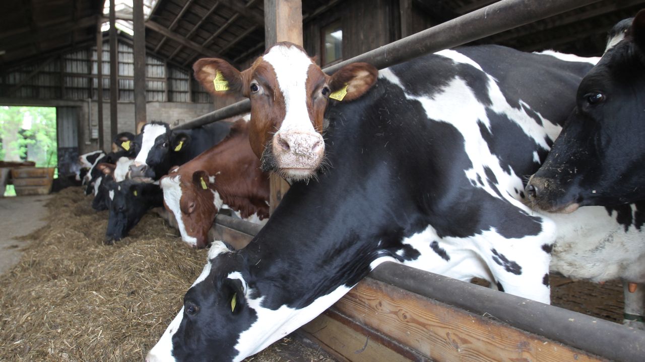 schleswig-holstein.de - Landesamt für Landwirtschaft und nachhaltige schleswig-holstein.de - Landesamt für Landwirtschaft und nachhaltige
