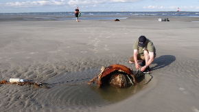 Ankertaumine im Niedersächsischen Wattenmeer, 2014